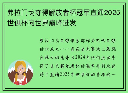 弗拉门戈夺得解放者杯冠军直通2025世俱杯向世界巅峰进发 弗拉门戈夺得解放者杯冠军直通2025世俱杯向世界巅峰进发